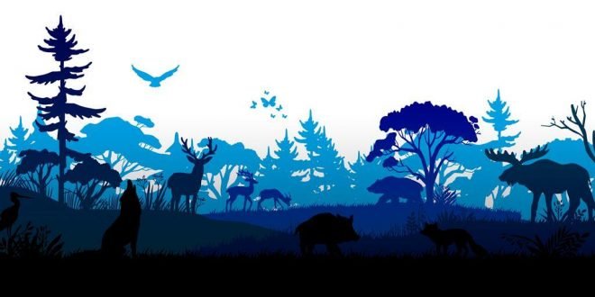 Biodiversity_blue