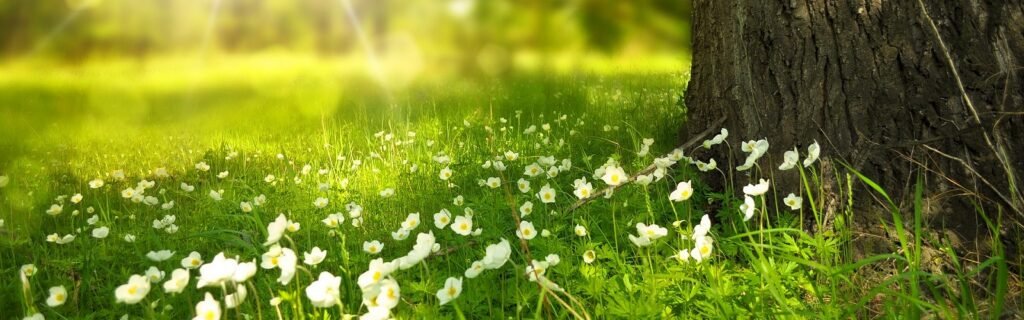 Ecology and biodiversity