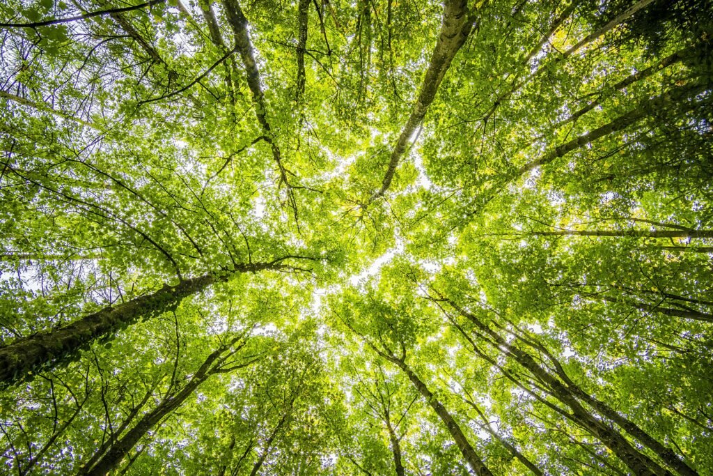 Environment3