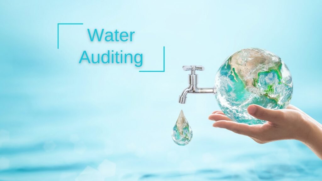 Water Auditing