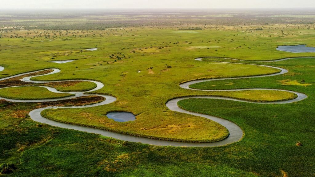 okavango delta, river, landscape, aerials, drone, okavango delta, okavango delta, okavango delta, okavango delta, okavango delta, river, river, river, river, drone, drone