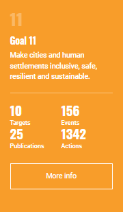 SDG 11 information