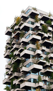 Sustainable Cities and Communities