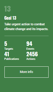 SDG 13 information