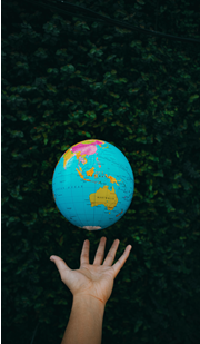 Climate Action