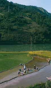 Life on Land